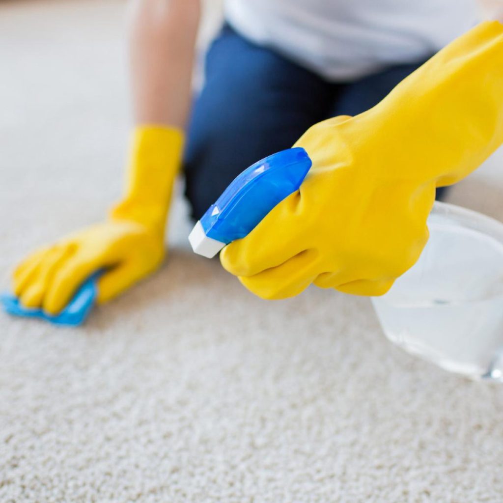 Carpet Shampoo